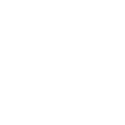 disruptor